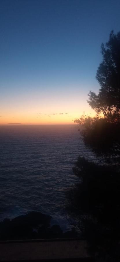 Cinqueterre National Park Sea View Lägenhet Framura Exteriör bild