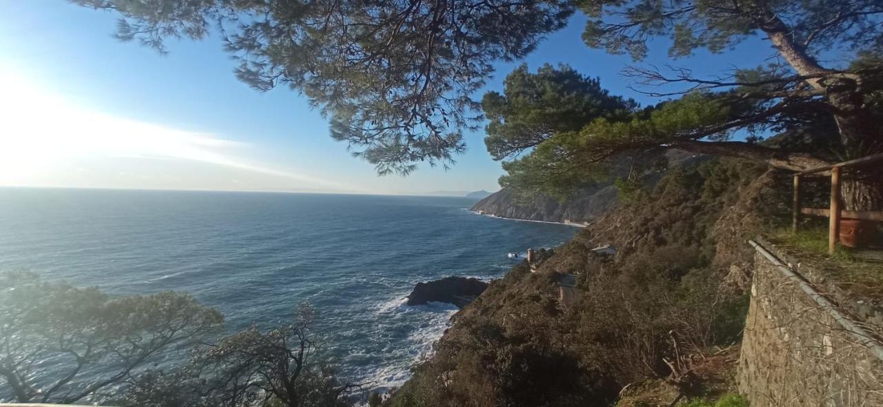 Cinqueterre National Park Sea View Lägenhet Framura Exteriör bild