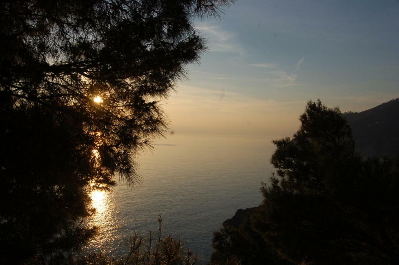Cinqueterre National Park Sea View Lägenhet Framura Exteriör bild